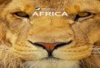 2013-2014 United Travel Group Africa