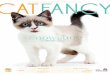 Cat Fancy Magazine Redesign