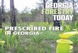 Georgia Forestry Today Jan-Feb 2014