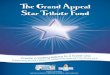 Star Tribute Fund Leaflet