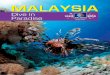 Malaysia Dive in Paradies