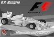 Flash Formula 1 HUNGRIA