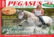 Pegasus Heftvorschau Heft 07/2010