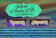 Ried Cattle Co