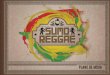 Plano de mídia sumo reggae 2014