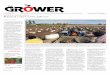 The Grower October 2013