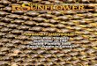 The Sunflower Magazine-December 2012