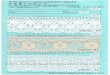 Crochet Lace #50626 - ( 46 To 48 )