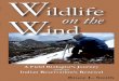 Wildlife on the Wind - sample book