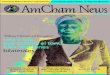 Amcham News 190