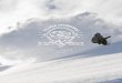 FW14 SALOMON SNOWBOARDS