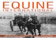 Equine international  vol3 issue4