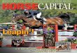 Horse Capital Digest - March 2, 2011