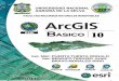 Manual ArcGIS10