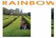 Rainbow. Multicolour Youth volunteering bridging continents