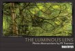 The Luminous Lens