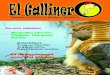 El Gallinero 03