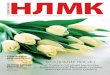 Журнал "НЛМК" 01.2009