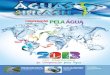 Revista Águas do Brasil- 6