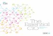 The Essential CIO: Insights from the 2011 IBM Global CIO Study