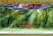Globetrotter Mag - Les forets du monde