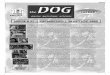 DOG #51,rock music fanzine,  2008,  -(period_02 up to 06) 2008 winters stuff