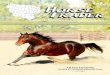 The Regional Horse Trader Magazine - November 2011 Issue