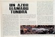 Fauna Iberica 03.Un azor llamado Tundra.Blanco y Negro.15.04.1967