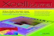 Xcell Journal issue 80