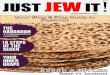 Just Jew It iPad Mag Pesach 5773