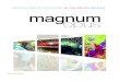 Magnum Opus 2012