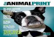 Our Pet Show Issue