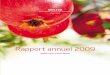 Rapport annuel 2009 Weleda