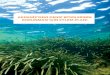 Akdeniz'deki Deniz Bitkilerinin Korunması için Eylem Planı