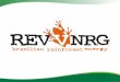 RevvNRG: Apresentações de Negócios