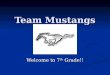 Team Mustangs