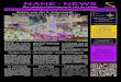 Nahe-News die Internetzeitung KW08_12