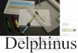 Visie Delphinus Achtertuinen