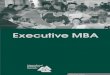 Executive MBA MIB