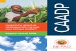CAADP Annual Report 2008 French