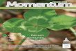 March 2013 Momentum Magazine