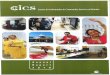 CICS Annual Report 2010