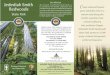 PARKS: Jedediah Smith Redwoods State Park Brochure