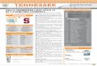 Lady Vol Basketball Game Notes vs. Stanford