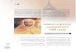 الرابطة الإسلامية محور السياسة الخارجية للسلطان المغربي محمد الثالث