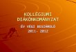 Diákotthoni DÖK beszámoló 2012