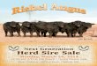 Rishel Angus - 32nd Annual Next Generation Bull Sale