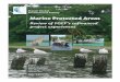 Marine Protected Areas - Review of FFEM’s cofinanced project experiences
