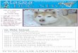 Alaska Dog News November-December 2010