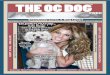 The OC Dog